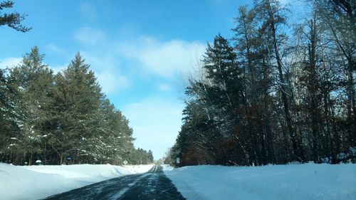 Snow covered land amidst trees against sky