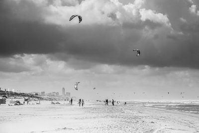 People kiteboarding at beach against sky