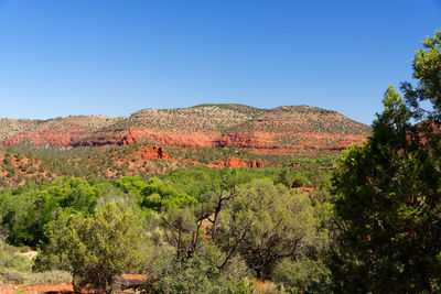 Scenic view of landscape against clear blue sky