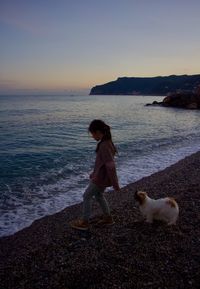 Full length of dog on beach during sunset
