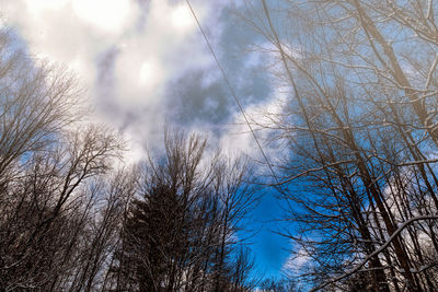 Low angle view of bare trees against blue sky