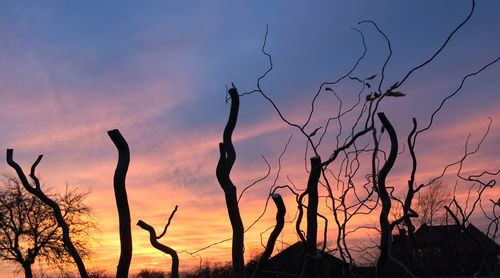 Silhouette bare trees against sky during sunset