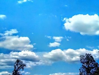 Low angle view of trees against blue sky