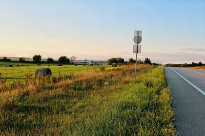 Agricultural field by empty road against sky during sunset