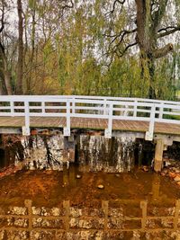 Bridge over river in forest