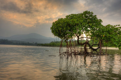 Scenic view of lake against sky at sunset