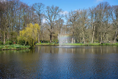 Scenic view of lake against trees