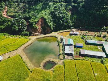 High angle view of trees and buildings in park