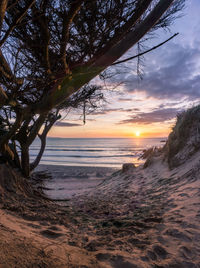 Scenic view of beach against sky during sunset