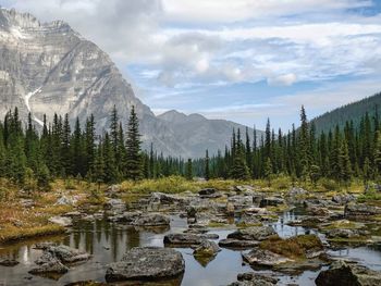 Looking along babel creek towards consolation lakes in lake louise, ab, canada