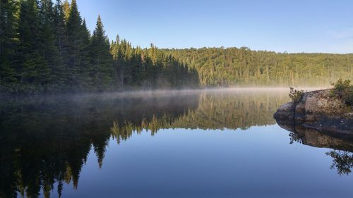 Reflection of trees in lake against sky