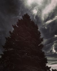 Low angle view of trees against cloudy sky