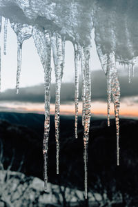 Close-up of icicles hanging in frozen water
