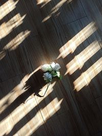 High angle view of flowering plants on wood