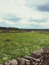 Scenic view of grassy field against cloudy sky