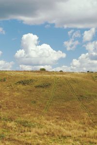 Scenic view of field against sky