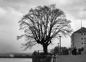 Bare tree on field by building against sky