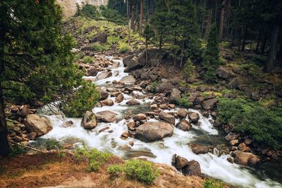Scenic view of waterfall in forest
