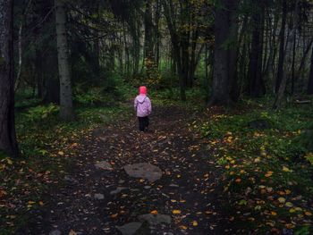 Rear view of child walking in forest