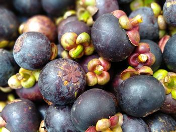 Full frame shot of grapes