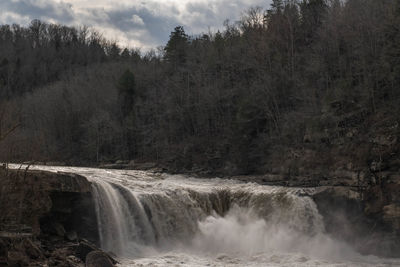 Scenic view of waterfall in forest