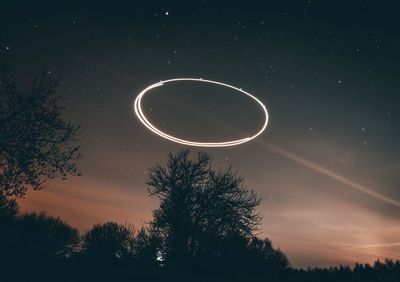 Low angle view of silhouette tree against sky at night