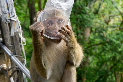 Midsection of man with tree