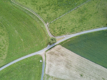 High angle view of green field