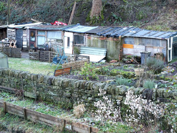 Houses against trees