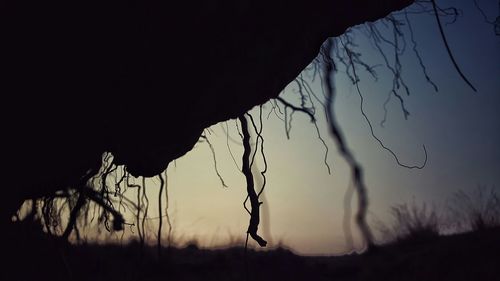 Low angle view of bare trees against sky