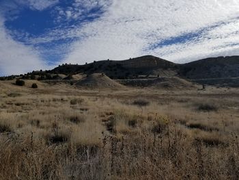 Scenic view of field against sky