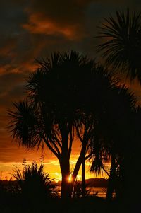 Silhouette of palm trees at sunset