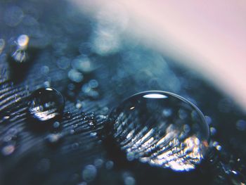 Close-up of water drops on leaf