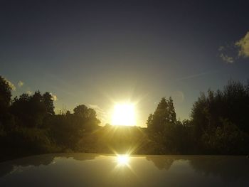 Sun shining through trees