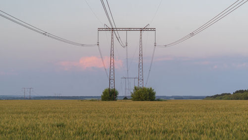 Power lines at sunset in the field