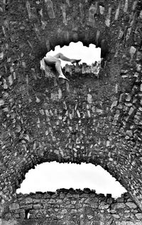 High angle view of tree against sky