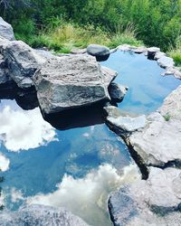 Reflection of trees in lake