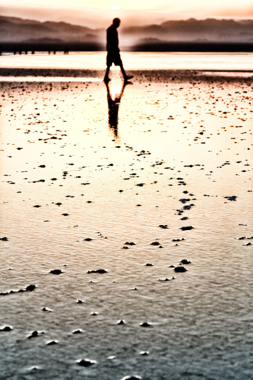 SILHOUETTE PERSON WALKING ON BEACH