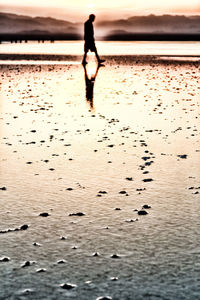 Silhouette of person walking on beach