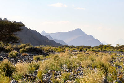 Scenic view of landscape and mountains against sky