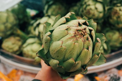 Close-up of hand holding artichoke