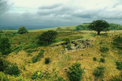 Scenic view of landscape against cloudy sky