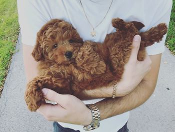 Midsection of woman holding dog