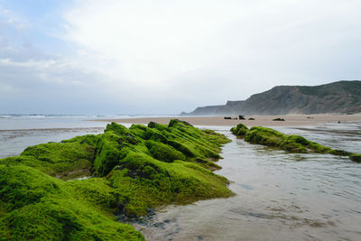 Scenic view of beach against sky