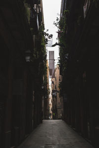 Narrow alley amidst buildings in city