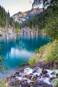 Scenic view of lake by trees against sky