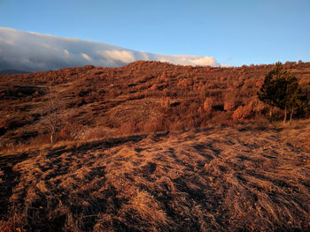 Scenic view of landscape against sky