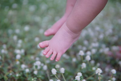 Low section of baby over flowers