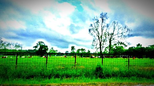 Scenic view of grassy field against cloudy sky