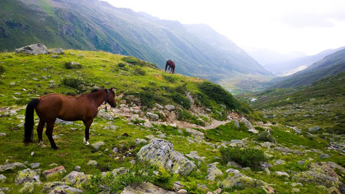 Scenic view of landscape with mountains in background